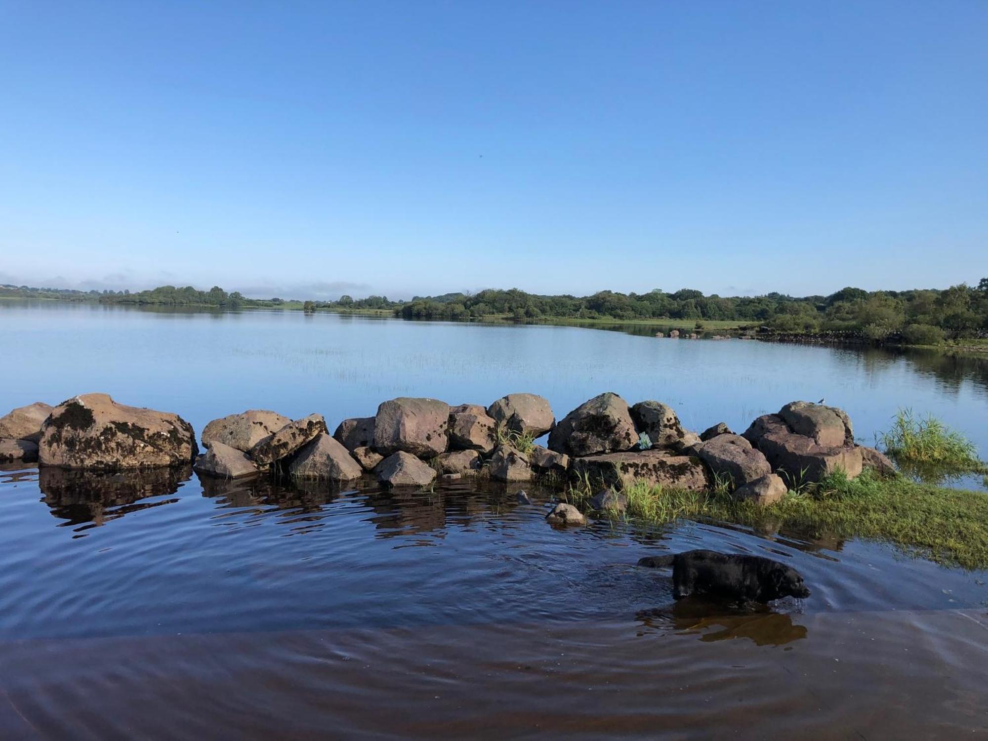 Sligo Forest Retreat Bagian luar foto