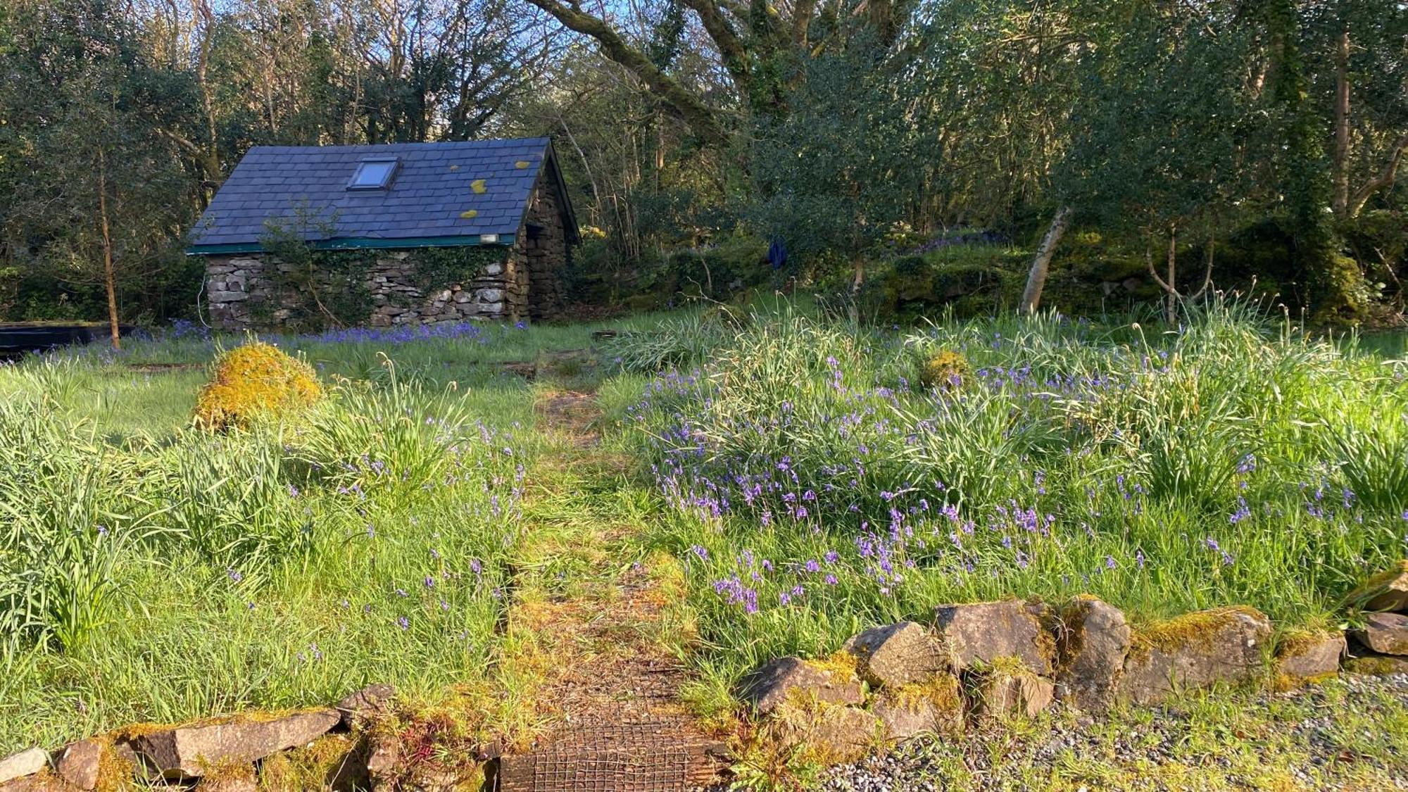 Sligo Forest Retreat Bagian luar foto