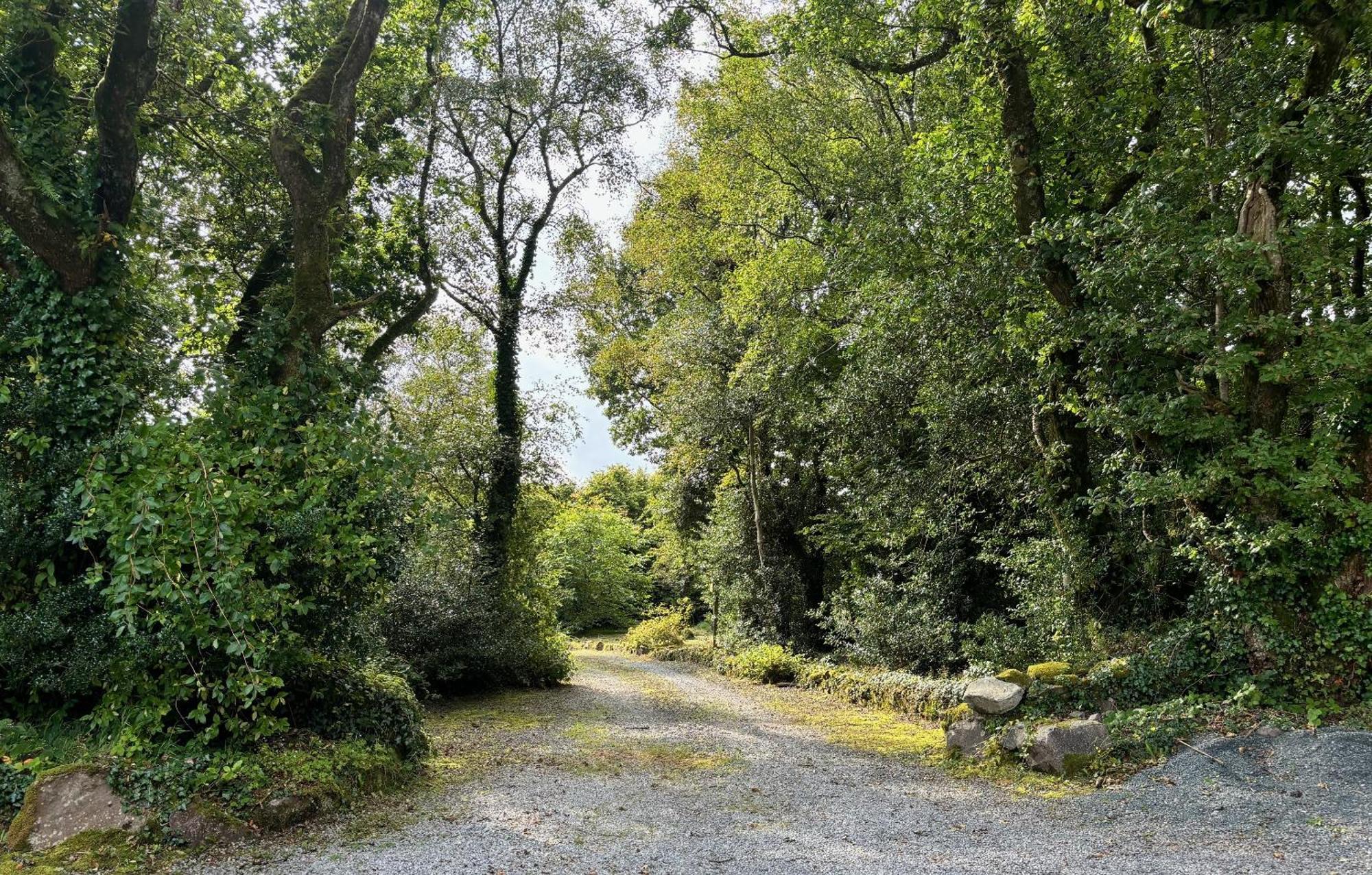 Sligo Forest Retreat Bagian luar foto