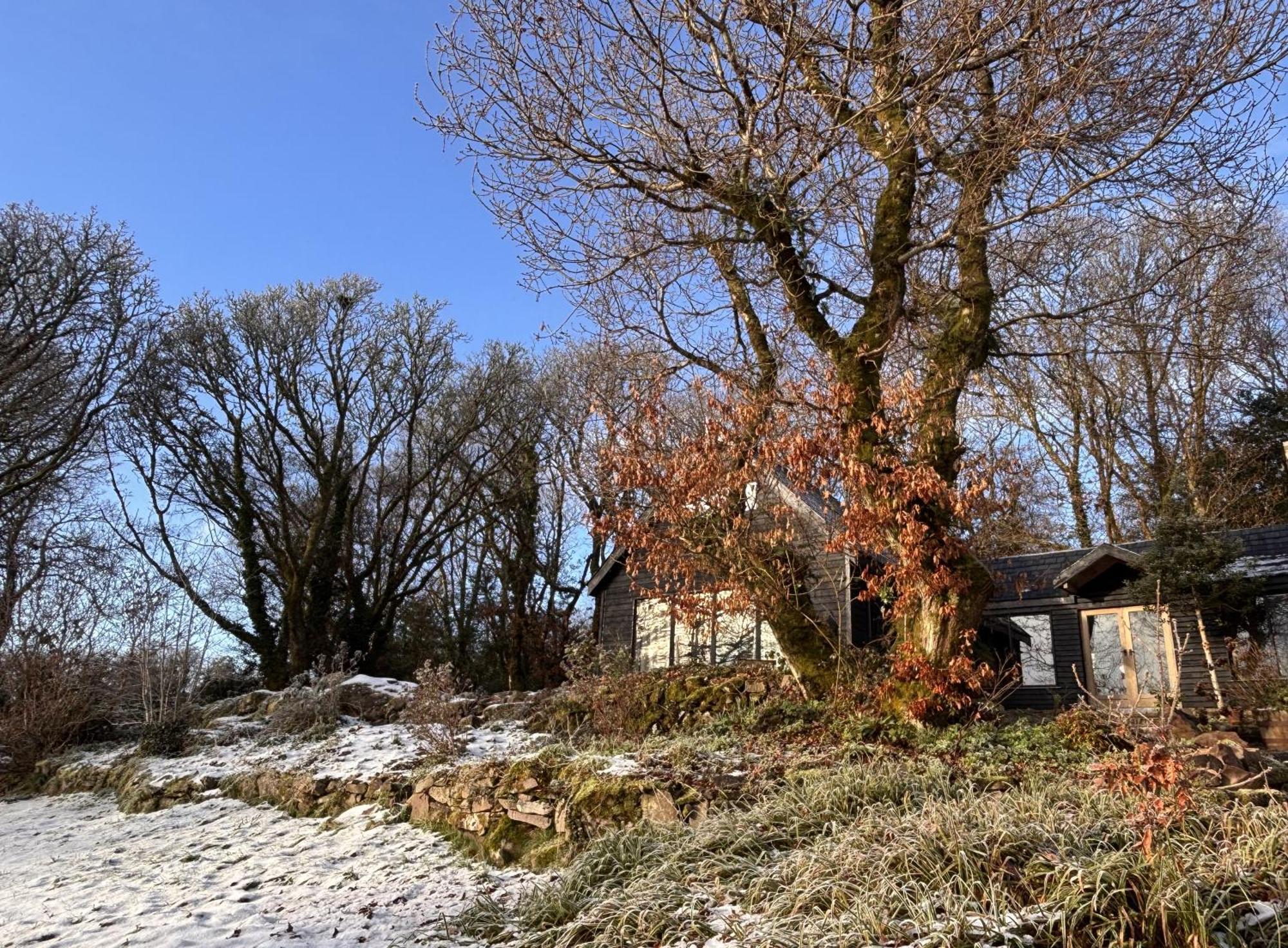 Sligo Forest Retreat Bagian luar foto